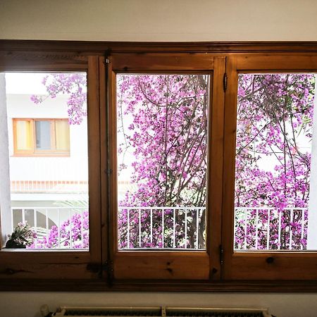 El Penell Apartament Llevant Vilamaniscle Zewnętrze zdjęcie